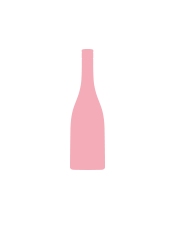 rose Wine